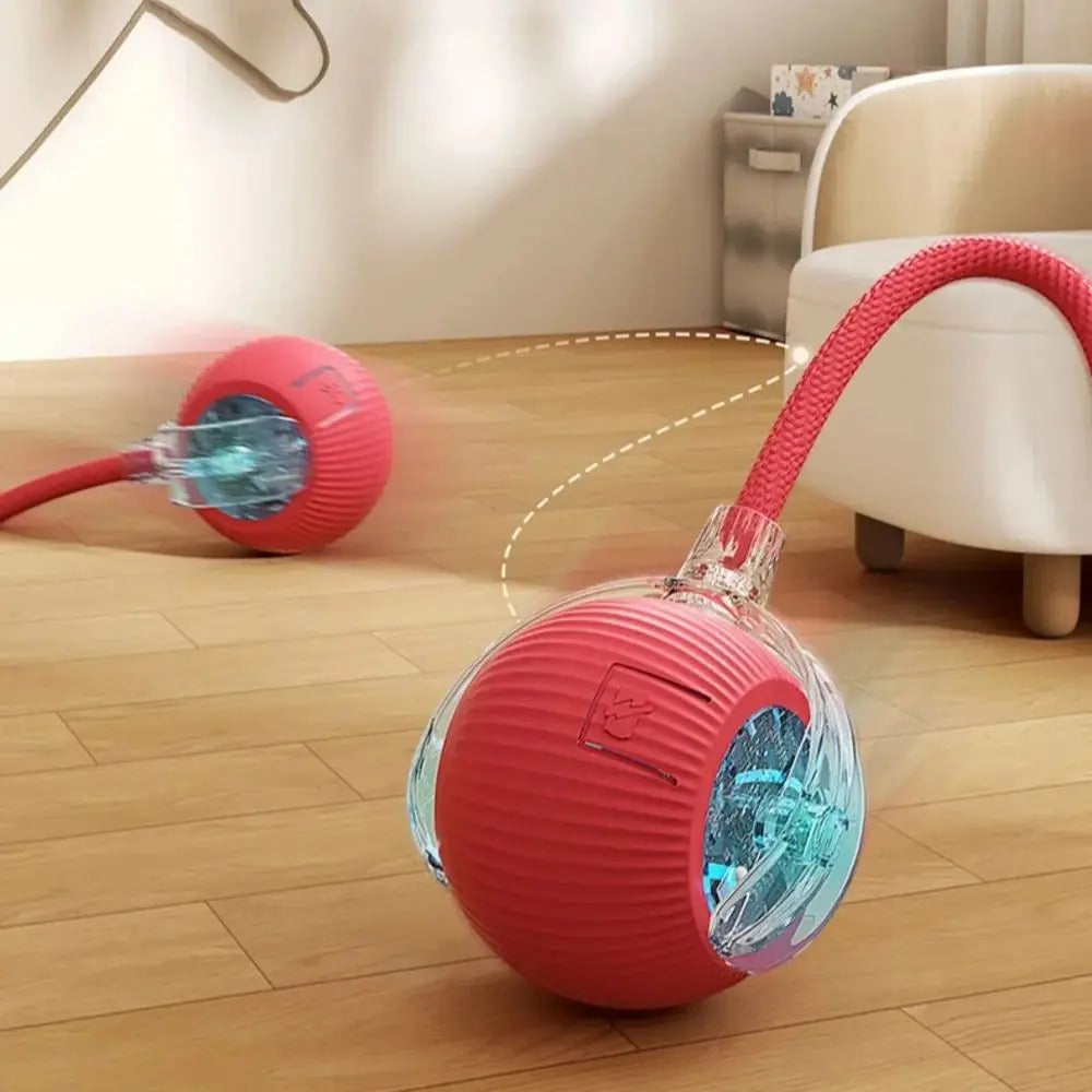 Cat Corner Ultra-Smart Toy
