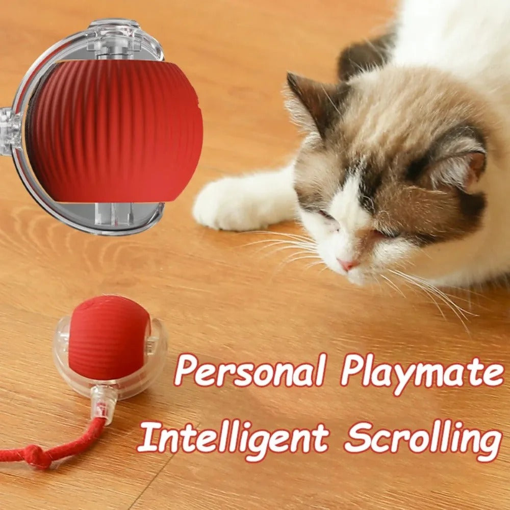 Cat Corner Ultra-Smart Toy