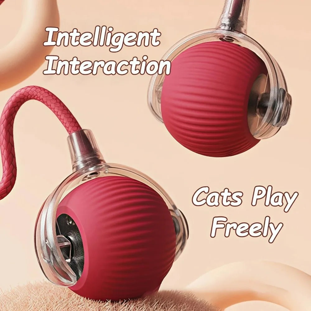 Cat Corner Ultra-Smart Toy