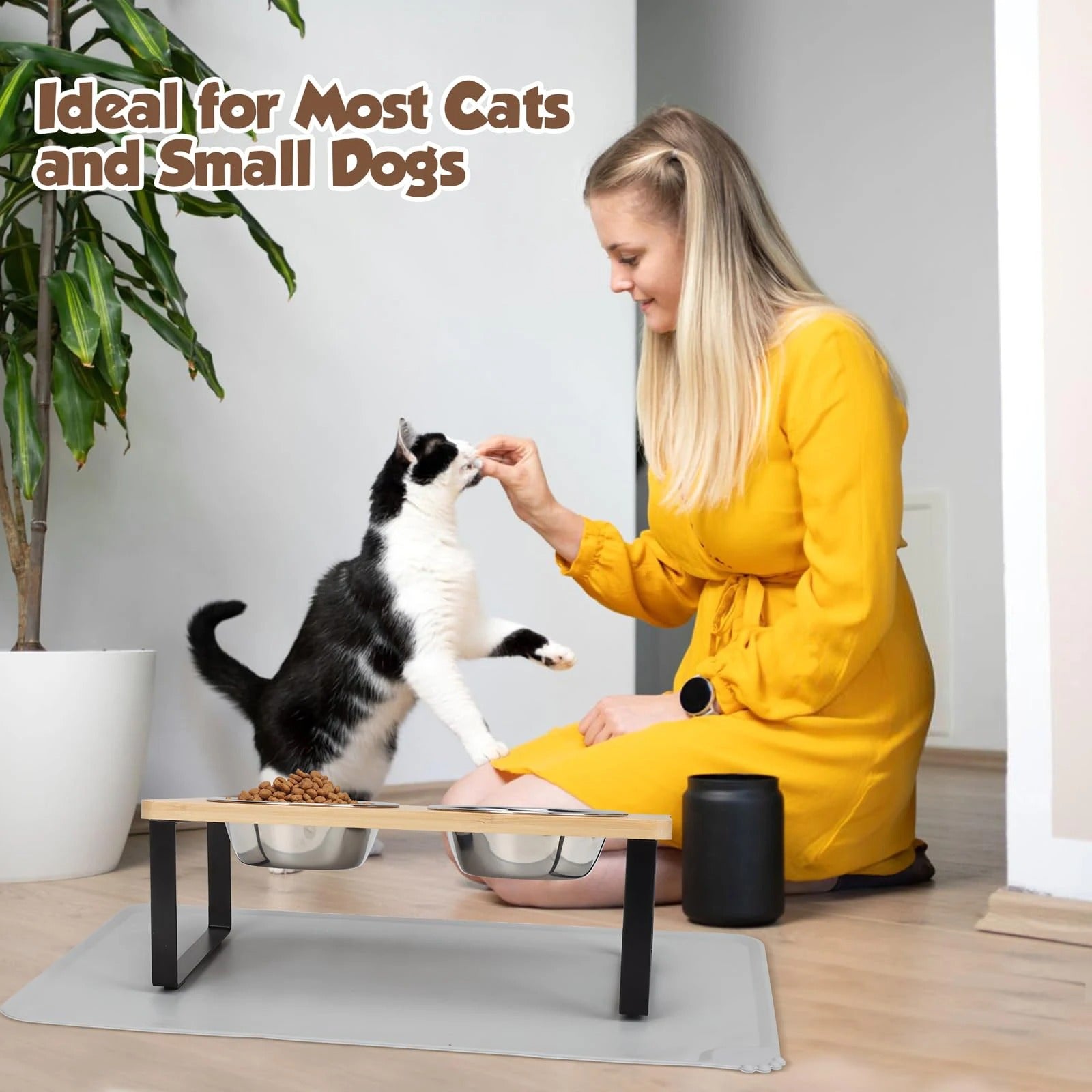 Cat Corner 15° Cat Bowls