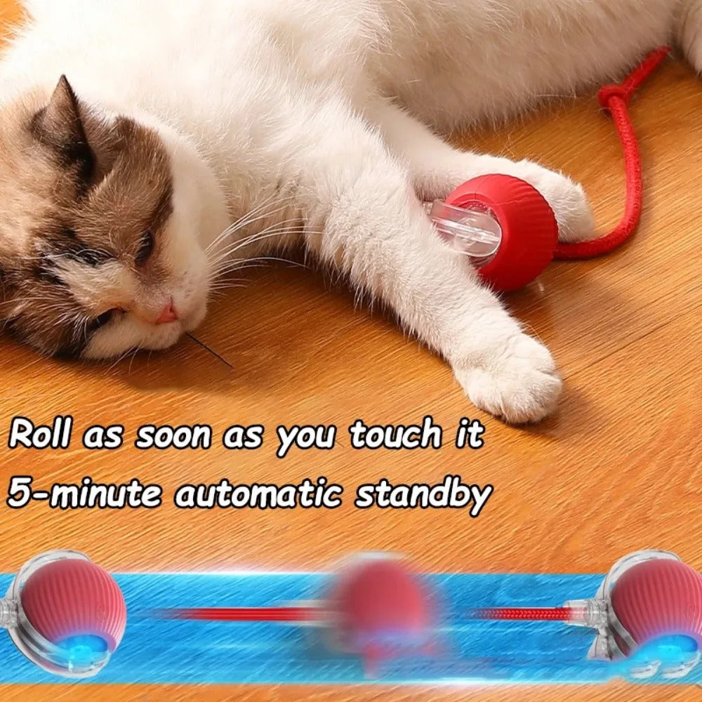 Cat Corner Ultra-Smart Toy