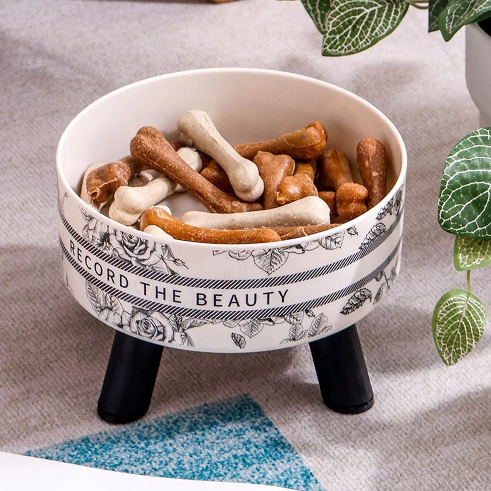 Cat Corner Stainless Steel Elevated Bowls