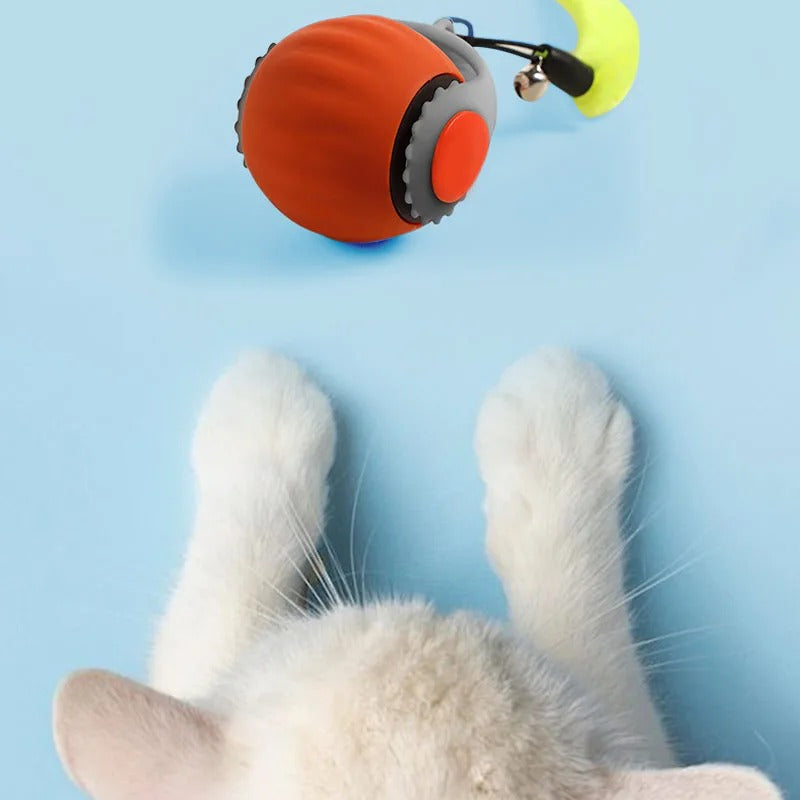 Cat Corner Smart Ball Toy