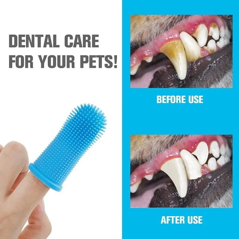 Cat Corner Super-Soft Toothbrush