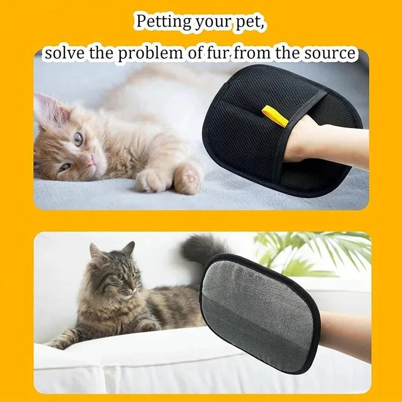 Cat Corner Magic Glove