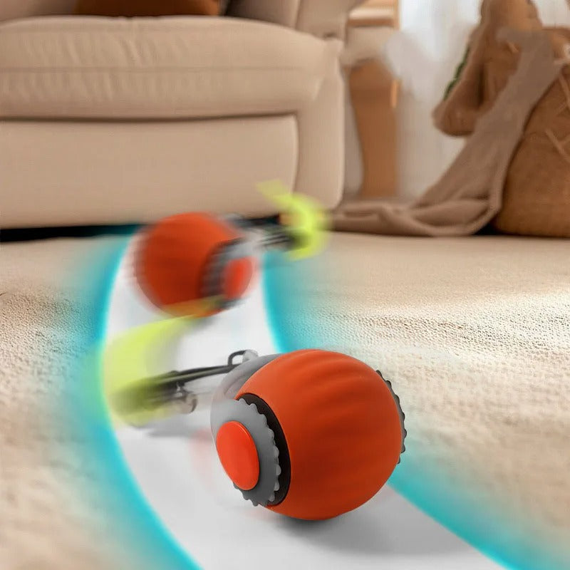 Cat Corner Smart Ball Toy